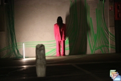 Morgane * (23 Diapositives)